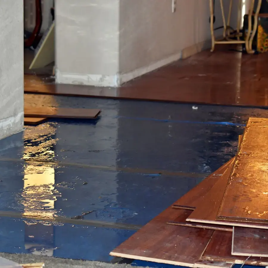 Water seeping up through the floor from a slab leak in Cordova